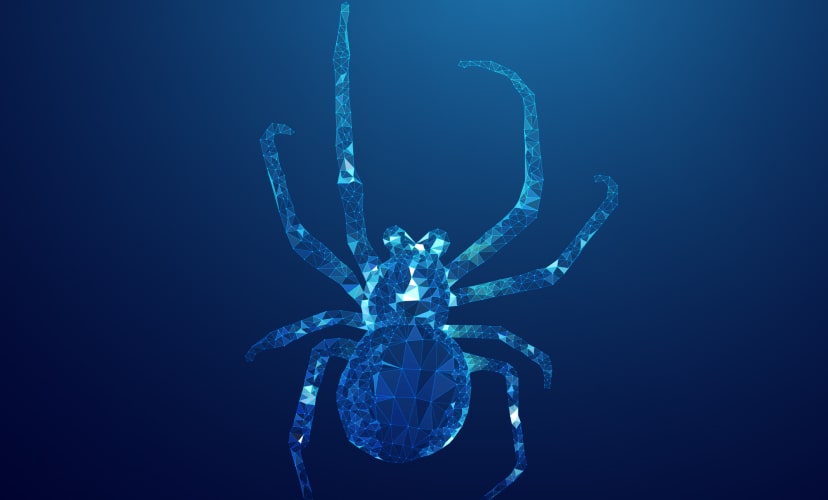 the third <br class='d-md-none'> service